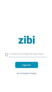 ZIBI seguridad