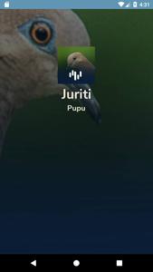 Canto Da Juriti Pupu