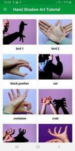 Hand Shadow Art Tutorials