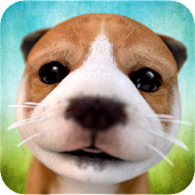 Dog Simulator Mod APK 2.2.3 [Unlimited money]