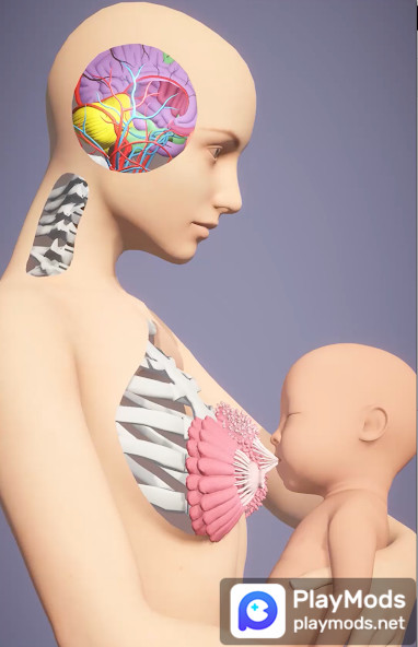 Momlife SimulatorMod  Apk v2.9.6(No Ads)