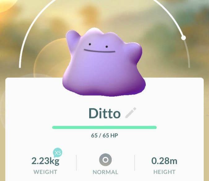 pokemon-go-ditto-how-to-find-and-catch-ditto-in-the-wild-and-everything-else-you-need-to-know-147991274044.jpg