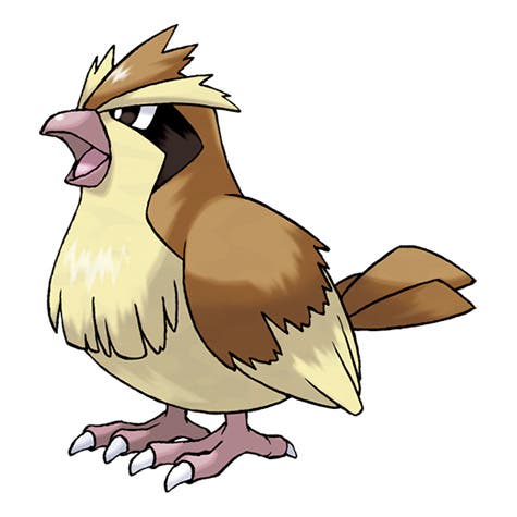 pokemon_pidgey.jpg