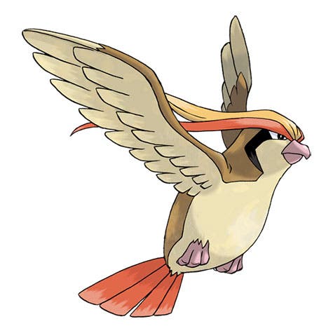 pokemon_go_pidgeot.jpg