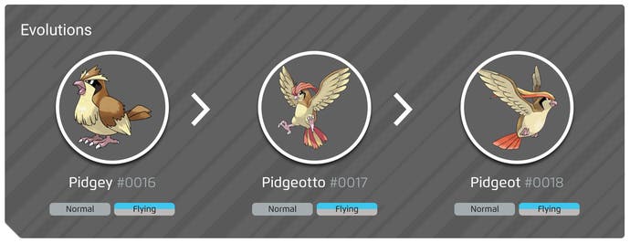 pokemon_pidgey_evolution_line.jpg