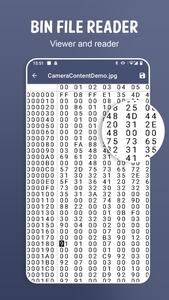 Bin File Opener: Bin Viewer