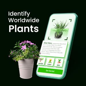 Bloomify - Plant Identifier