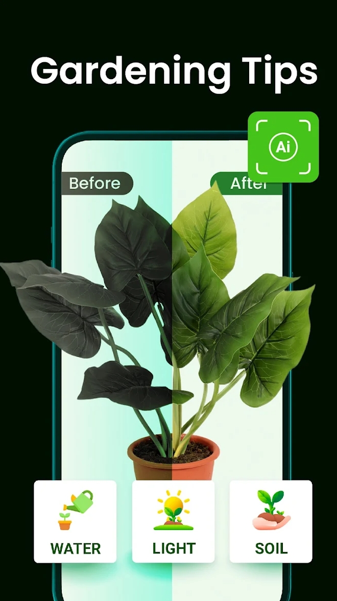 Bloomify - Plant Identifier