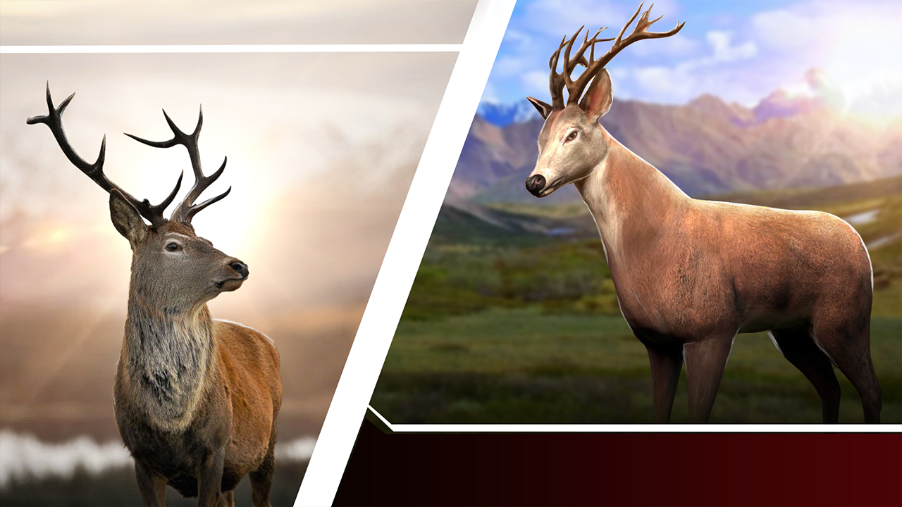 Animal Hunter Deer Hunt Game