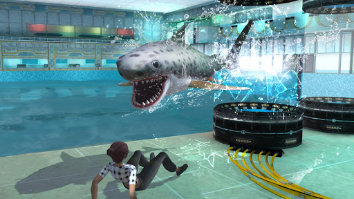 Whale Shark Attack Simulator