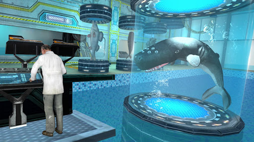 Whale Shark Attack Simulator