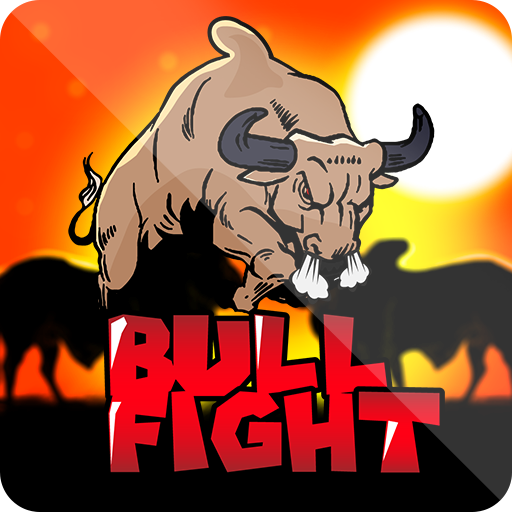 Bull Fight