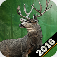 Deer Hunting 2017 Wild Animal Sniper Hunter Game