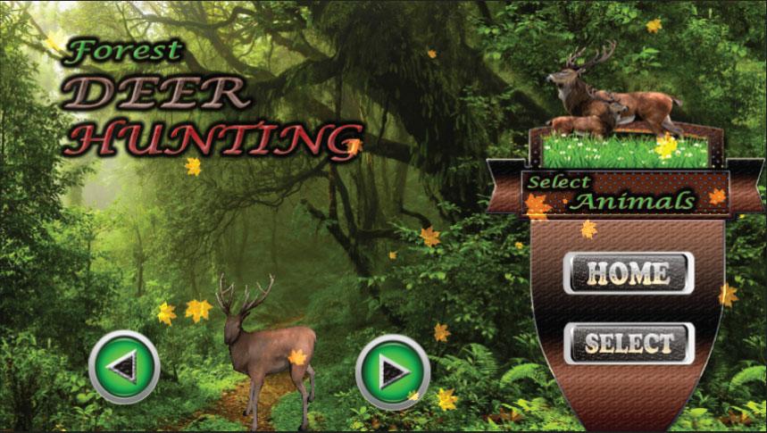 Forest Deer Hunting