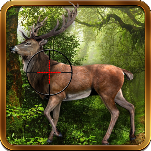 Forest Deer Hunting