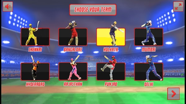 IPL cricket game : Mr IPL T20