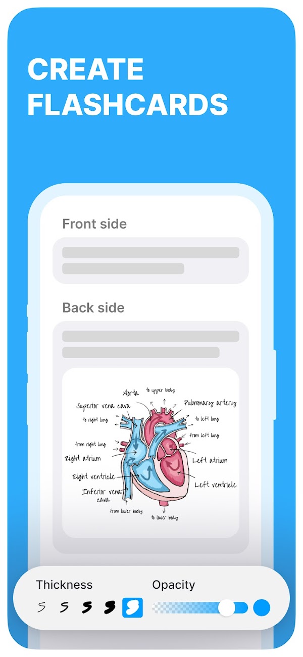 Anki Pro: Flashcards Learning