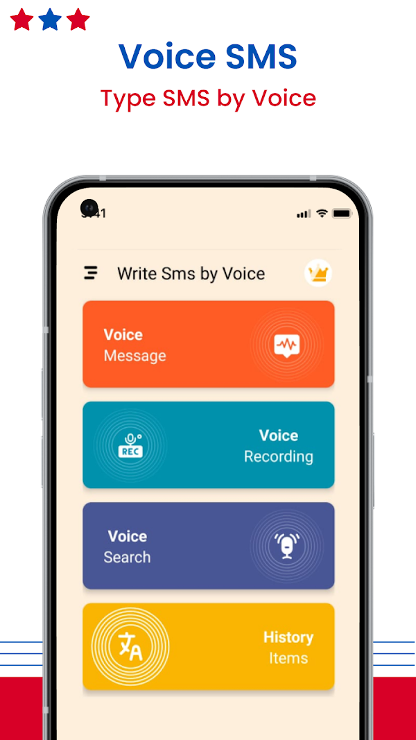 Voice SMS, Type SMS by