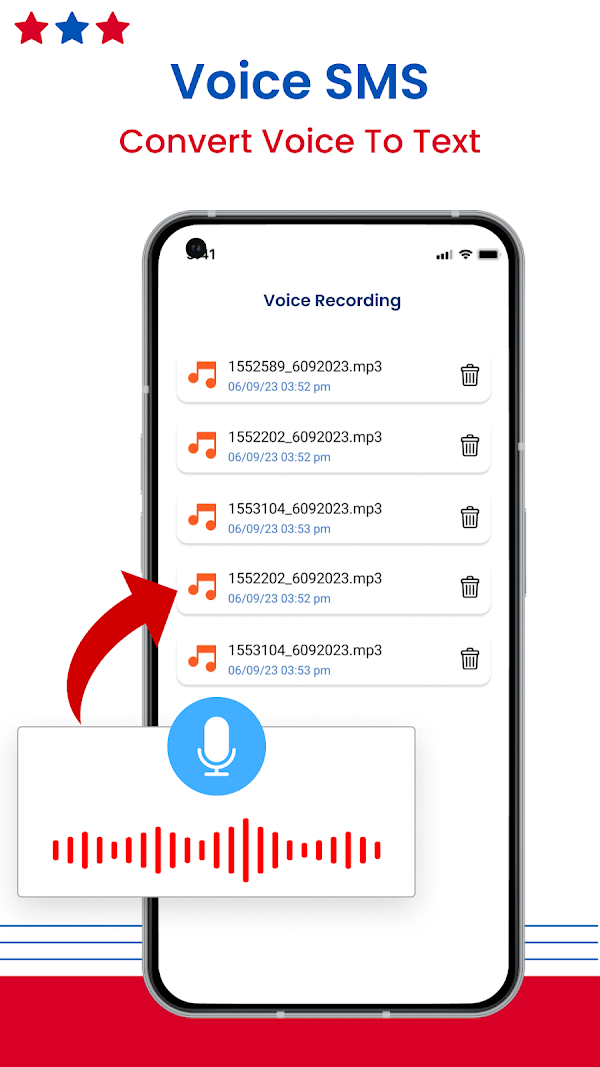 Voice SMS, Type SMS by