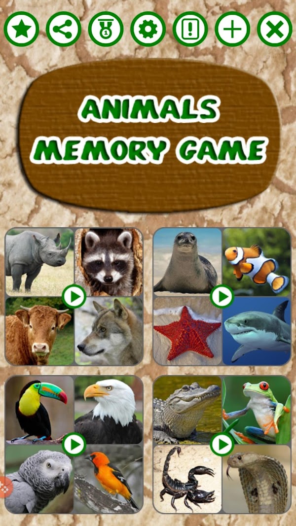 Animals Memory Game