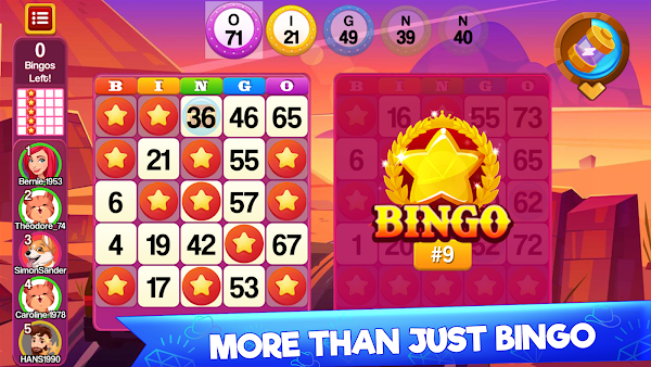 Bingo Madness Live Bingo Games