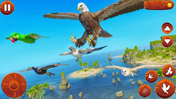 Wild Birds Life Simulator 3D