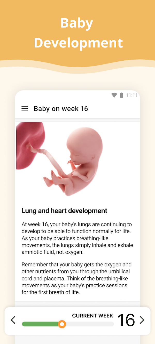 Pregnancy App