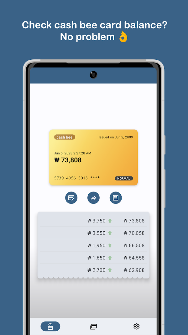 Korea Transit Card Balance