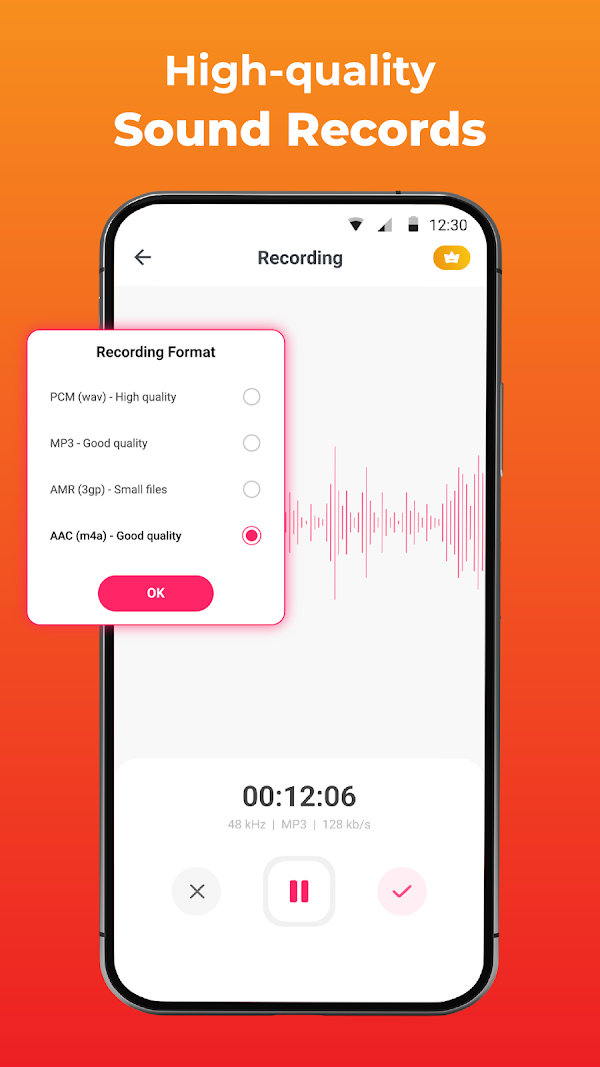 Voice Recorder: