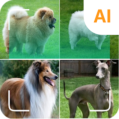 Dog breed identifier