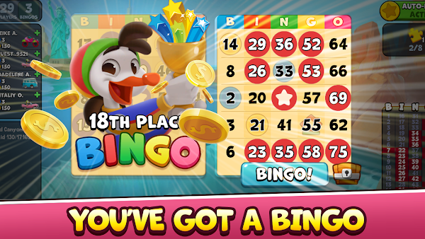 Bingo Drive