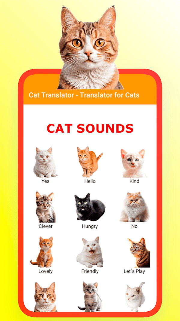 Translator for Cats Prank