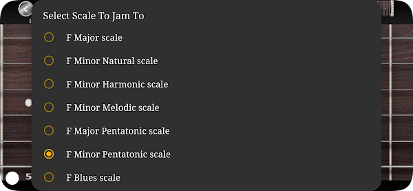 Guitar Scales & Chords