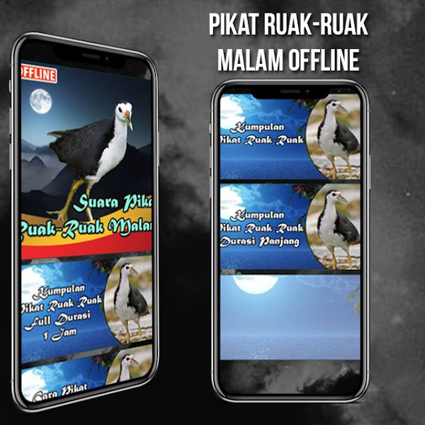 Pikat Ruak Ruak Malam Offline