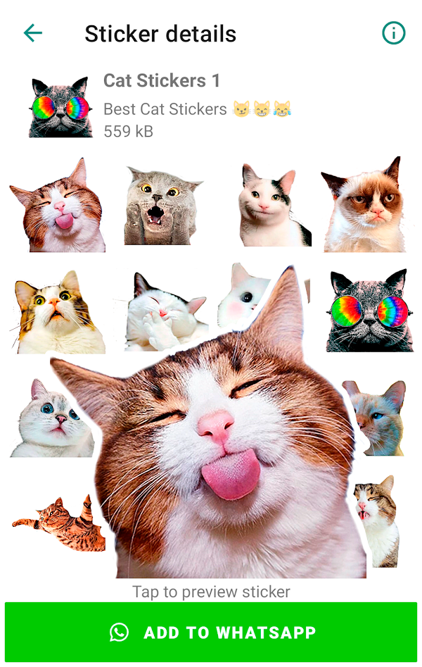 Cute Cat Stickers for WhatsApp