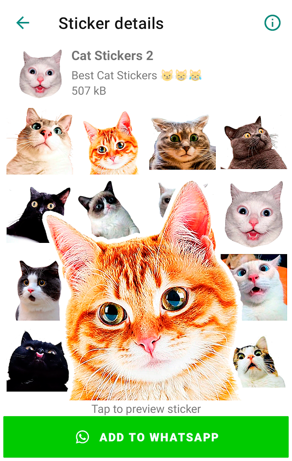 Cute Cat Stickers for WhatsApp