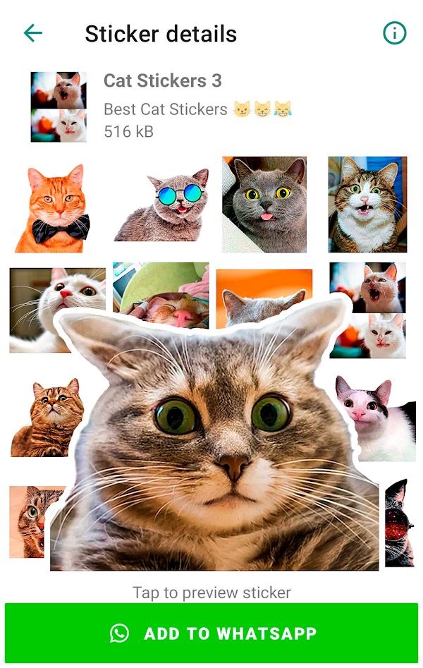 Cute Cat Stickers for WhatsApp