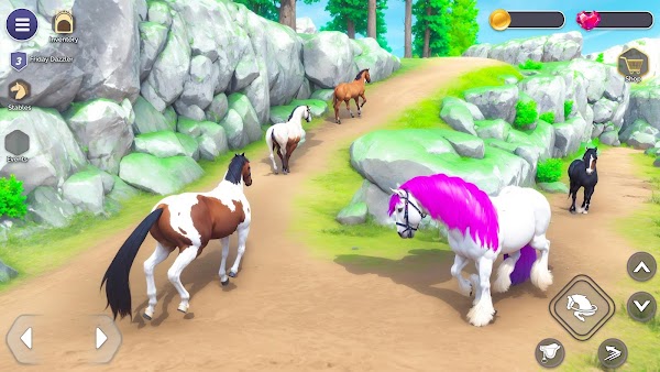 My Fantasy Horse Care Academy