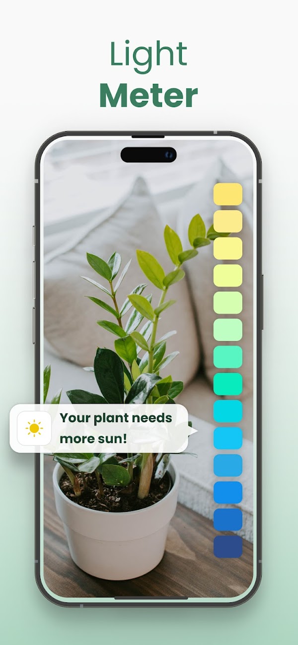 Plantify: AI Plant Identifier