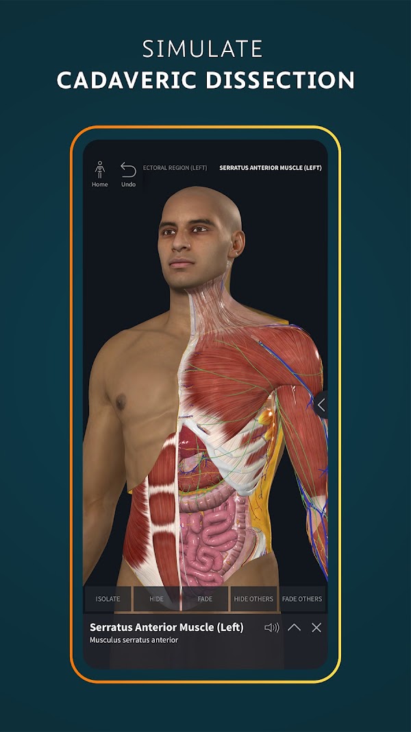 Complete Anatomy 2024